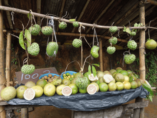 Create abundance and diversity in your microbiome through exotic fruits and veggies