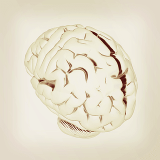 3D illustration of a human brain highlighting brain health and cognitive function
