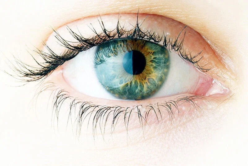 Close-up of a green human eye with detailed iris and long eyelashes, health and wellness concept.